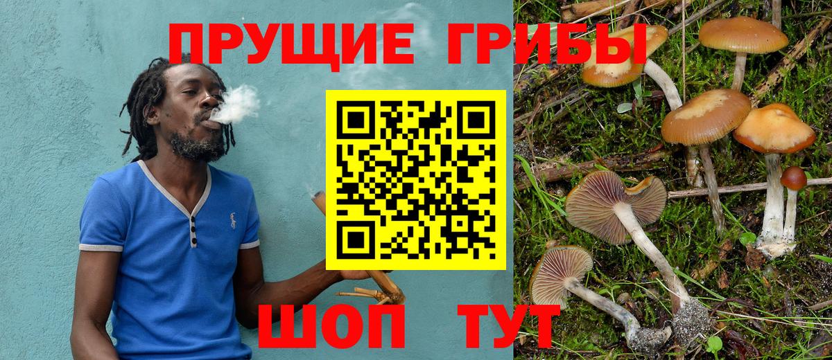 Псилоцибиновые грибы MAGIC MUSHROOMS  где можно купить   Галлюциногенные грибы прущие грибы  Славгород  Вход с VPN 