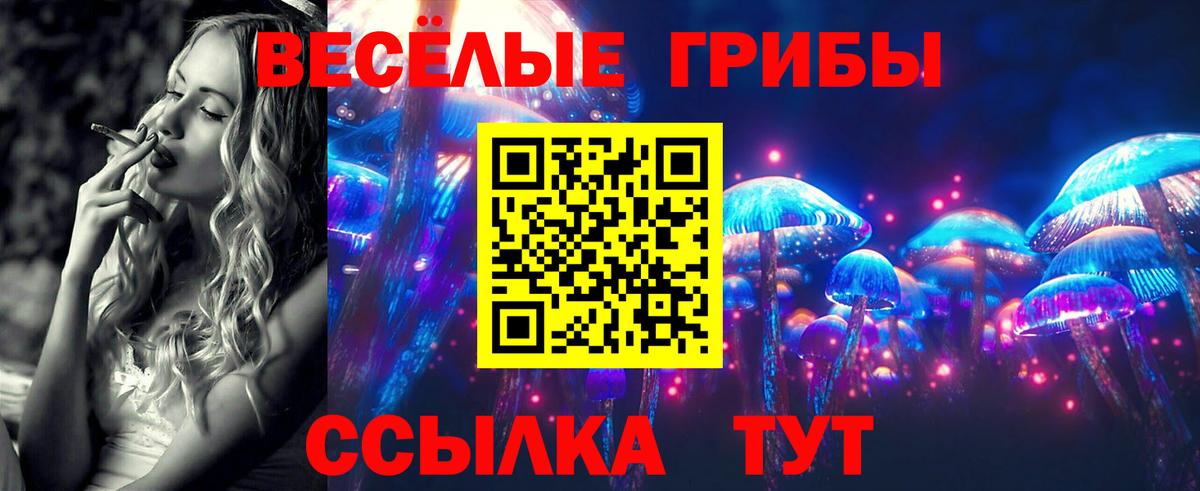 Псилоцибиновые грибы ЛСД Славгород