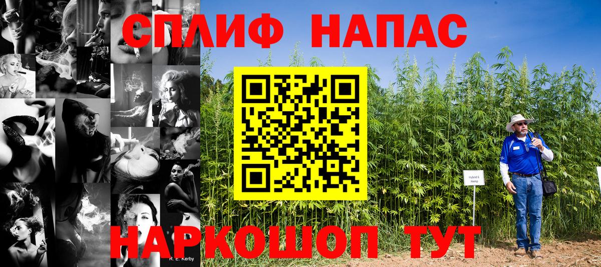 Шишки марихуана SATIVA & INDICA  Вход с VPN  МАРИХУАНА MAZAR  МАРИХУАНА MAZAR  МАРИХУАНА OG Kush  Славгород 